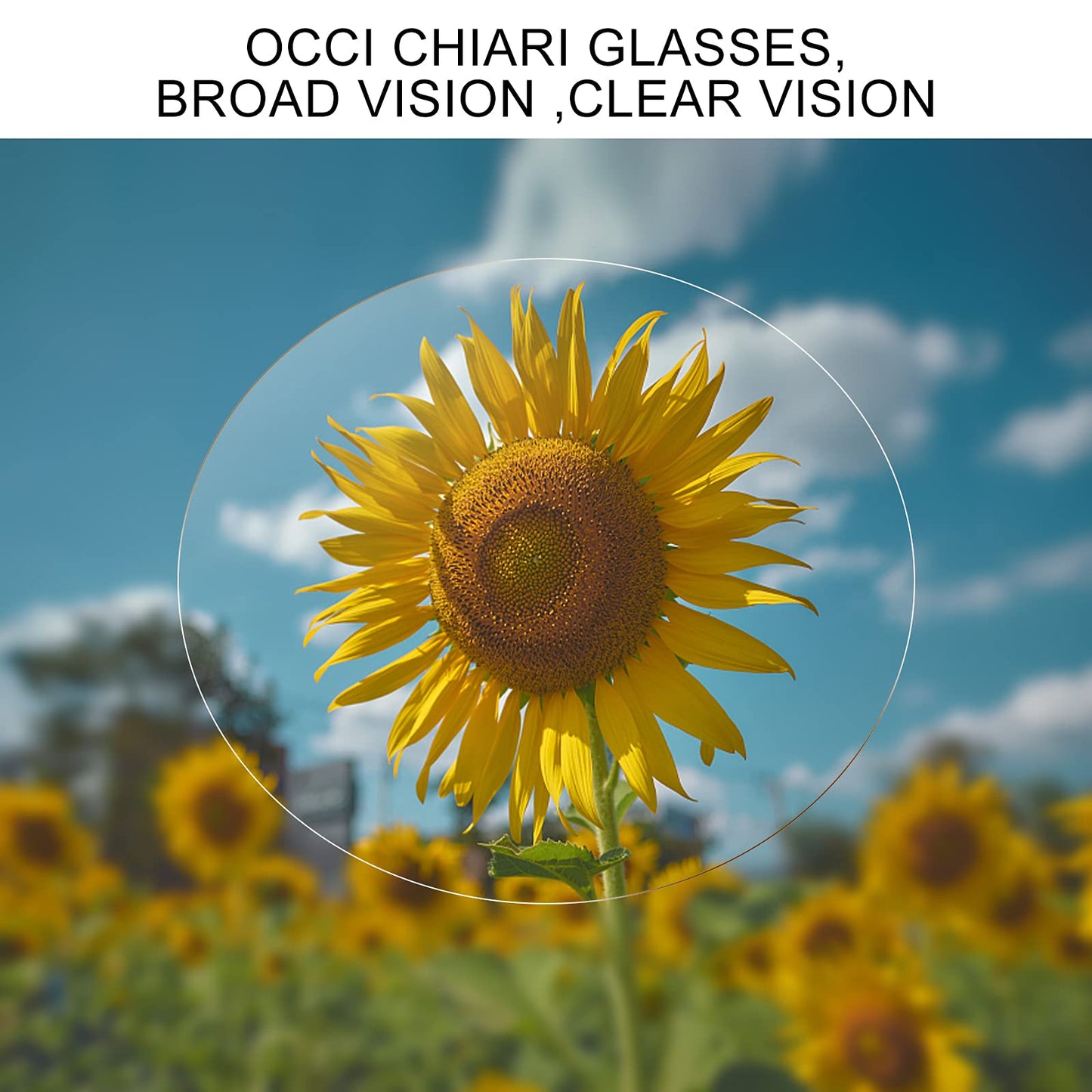 OCCI CHIARI Reading Glasses Women's Oval Reader Clear Frame (0 1.0 1.5 2.0 2.5 3.0 3.5)
